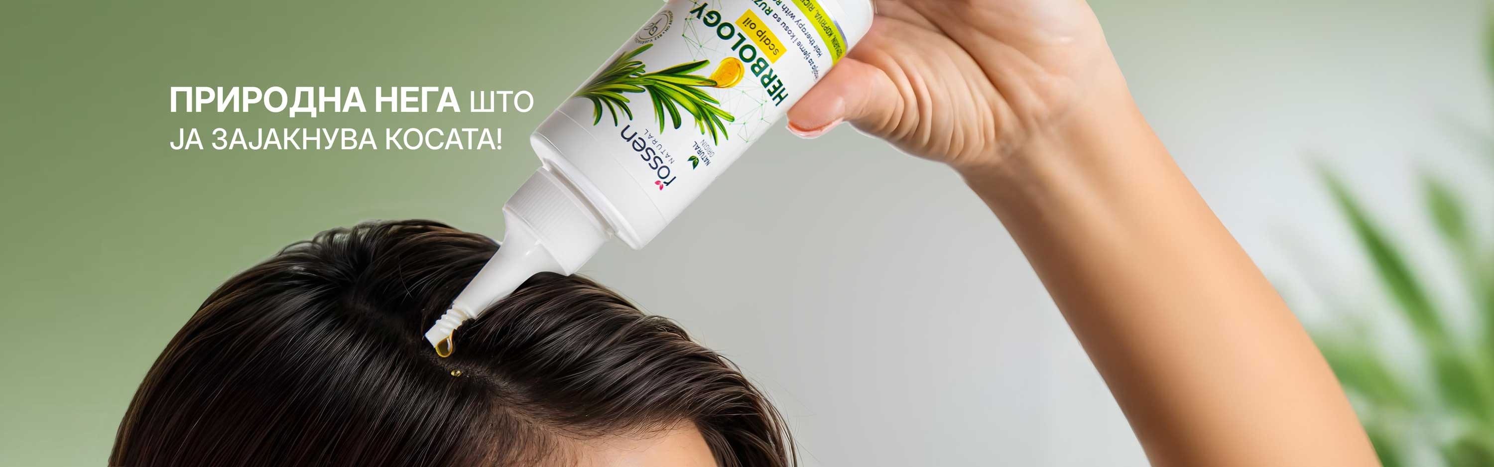 RUZMARIN-ulje-sekcija-1---mk