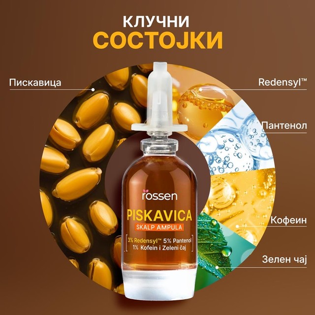 SLAJD-3---KLJUÄNI-SASTOJCI